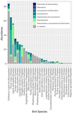 Half of a forest bird community infected with haemosporidian parasites
